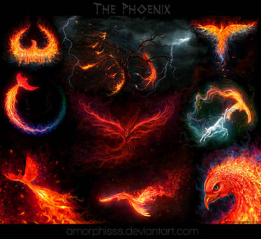 My phoenix collection