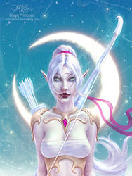 Elven Princess by amorphisss