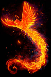 Immortal Flames t-shirt edit by amorphisss