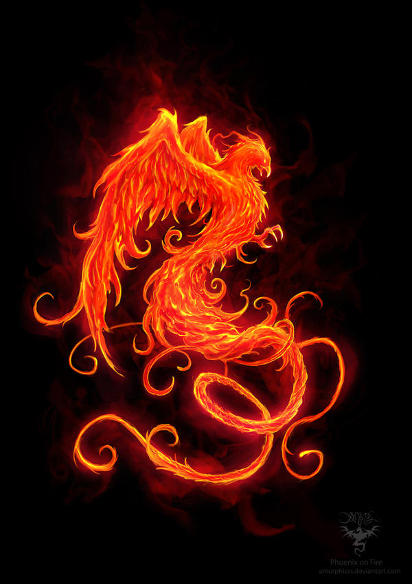 Phoenix on Fire by amorphisss