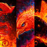 Phoenixes