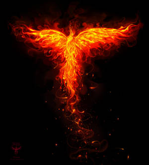 Phoenix orange flames ver