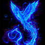 Blue Phoenix logo