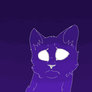 Blinking StarClan Cat :Animation: