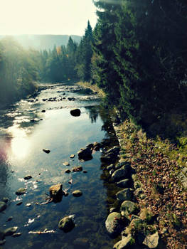 Czech nature