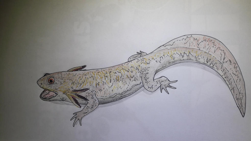 Chunerpeton tianyiensis by Corallianassa on DeviantArt