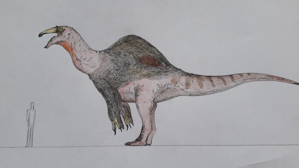 Deinocheirus mirificus