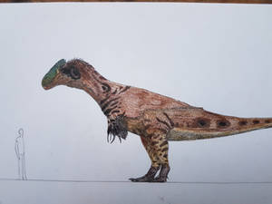 Explore the Best Siats Art | DeviantArt