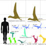 Morrison formation pterosaurs