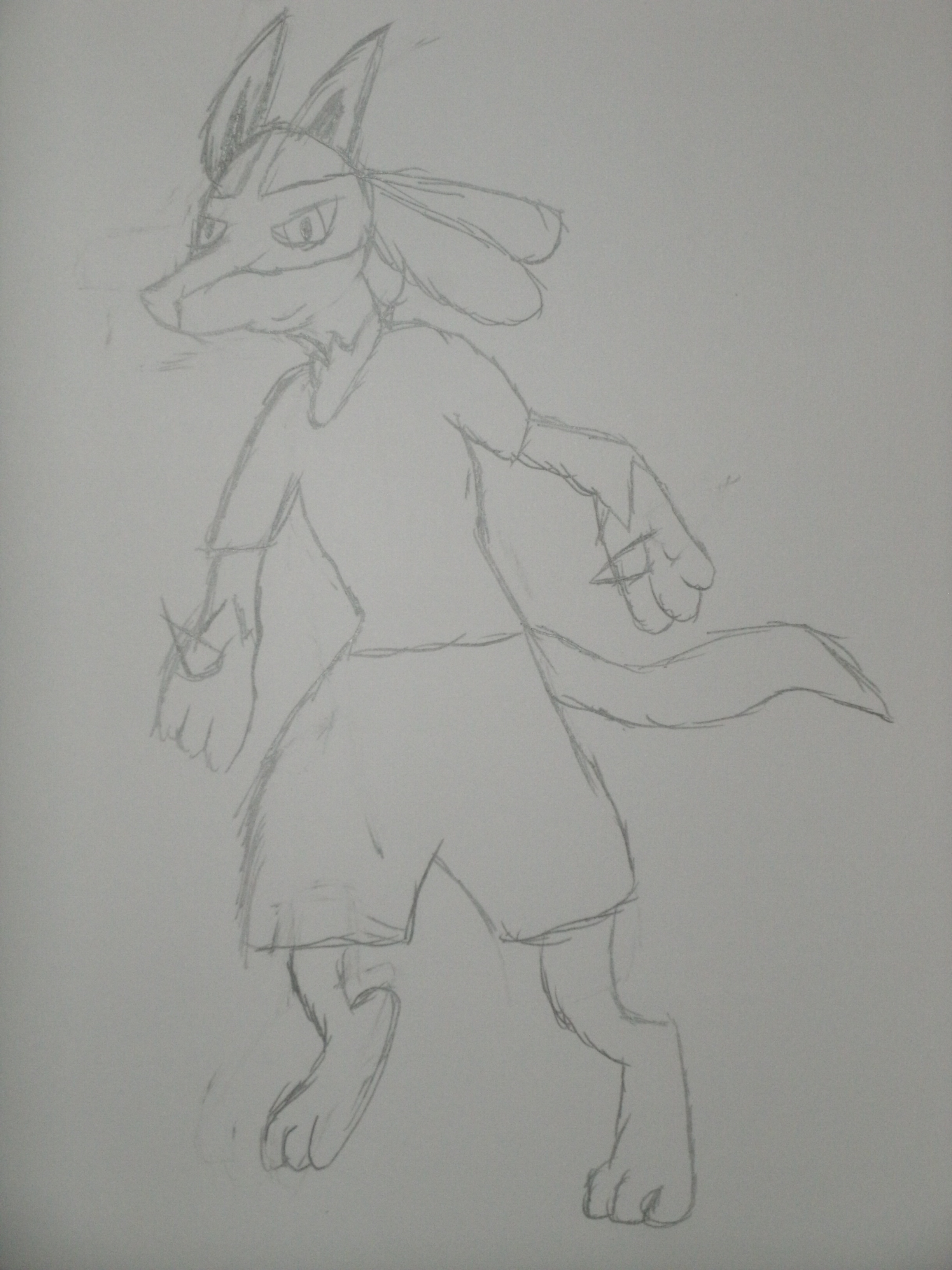 Anubis the lucario- request darksceptile3333