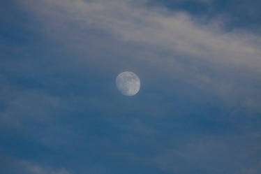 evening moon 7066aSML