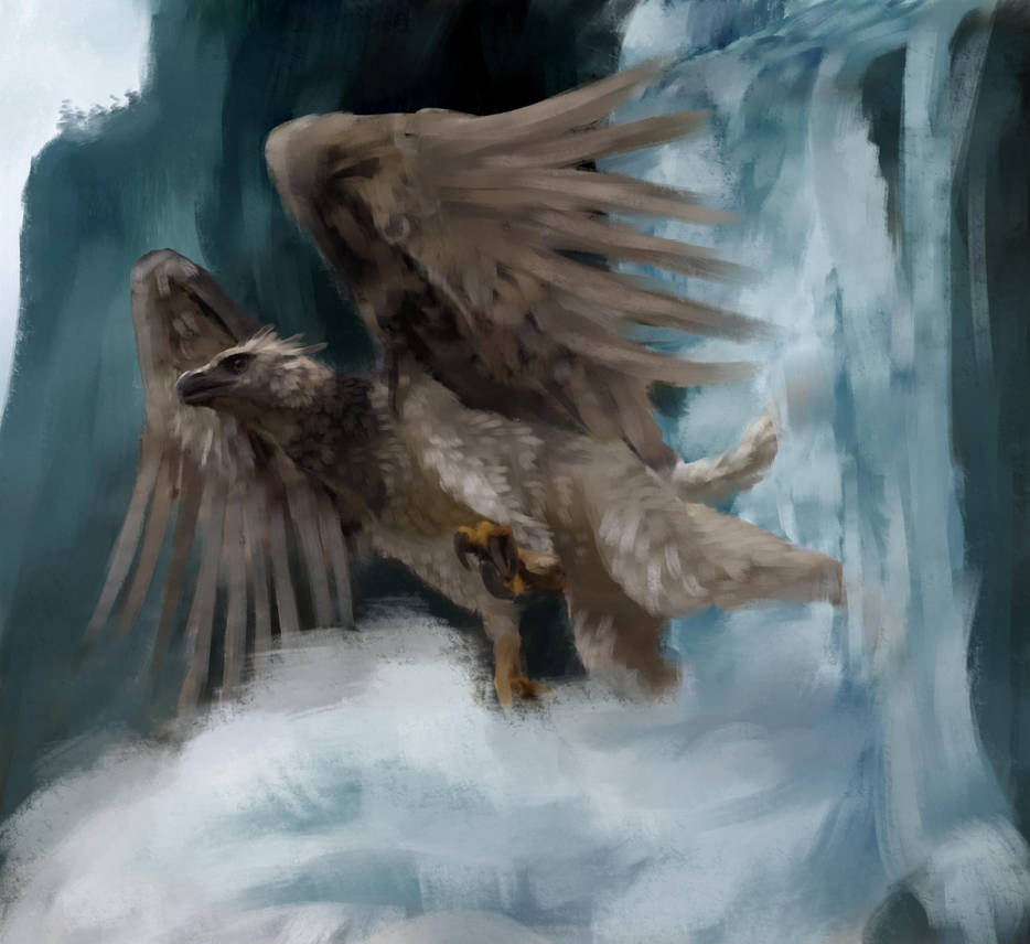 Harpy Griffin