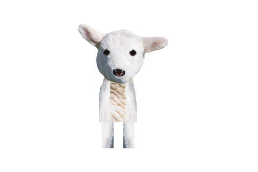 Lamb Character