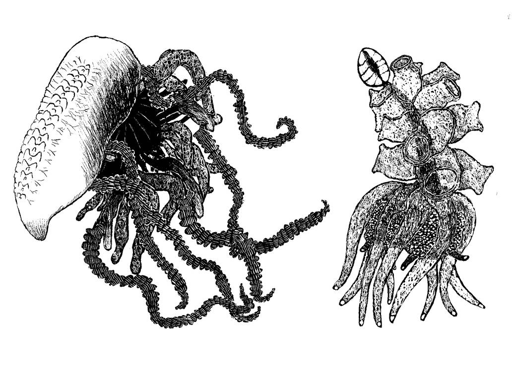Amorph Alien Amorphs 2 by A1phaDrag0n on DeviantArt