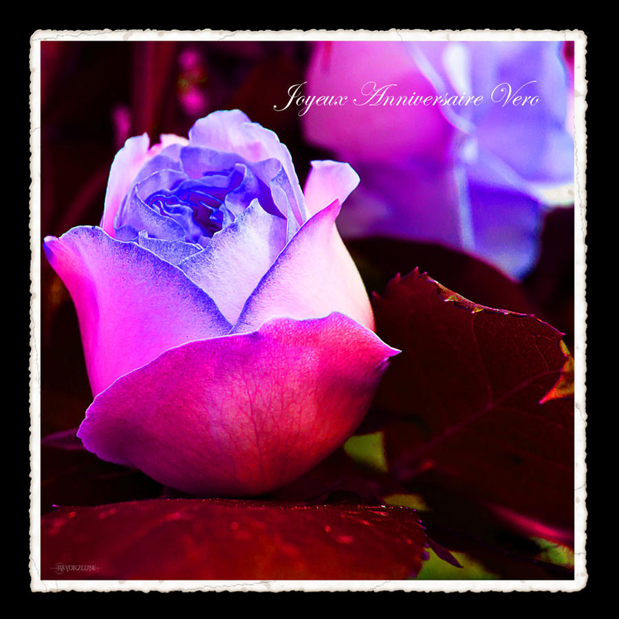 Joyeux Anniversaire Vero By Rayon2lune On Deviantart Joyeux Anniversaire Vero By Rayon2lune On Deviantart