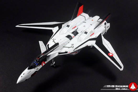 1/72 Hasegawa YF-19 Excalibur