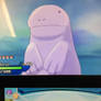 Shiny Quagsire