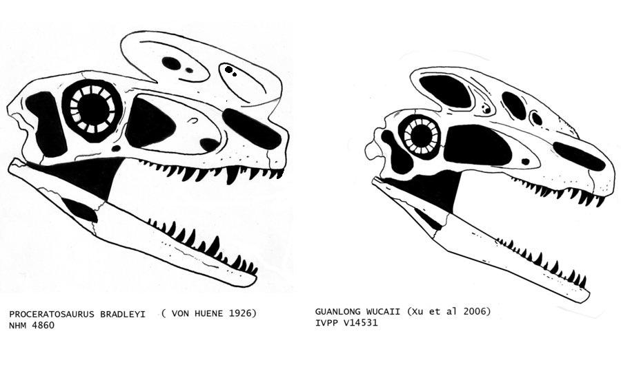 Proceratosauridae pt.1 by Trodonto on DeviantArt