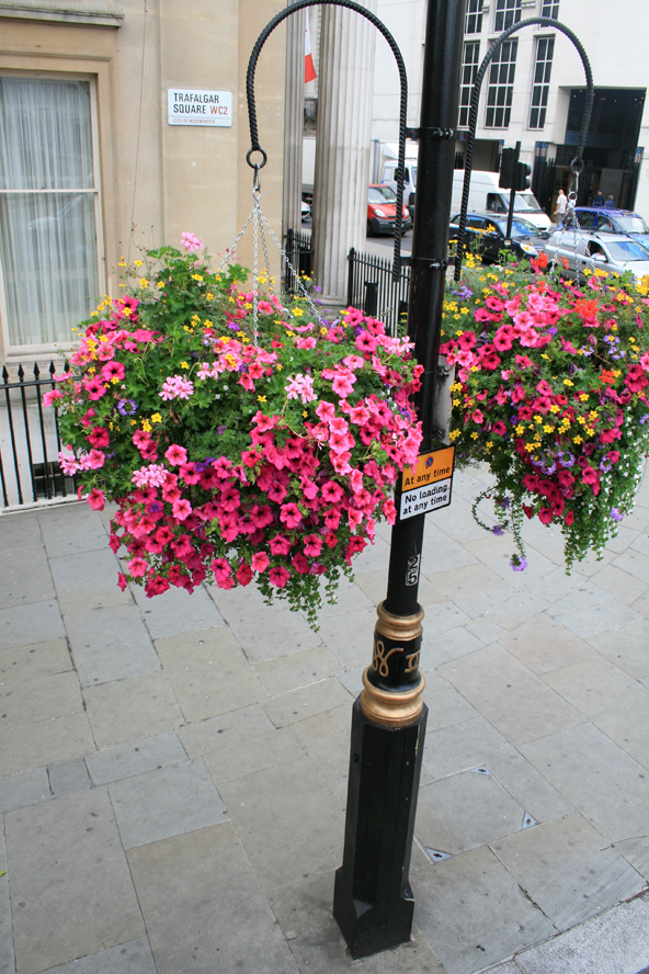 Hanging Basket In London by LoudAboutLoathing on DeviantArt
