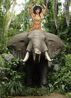 Zanya rides Jungle Elephant!