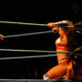 Brooke Tessmacher vs. Gail Kim 5