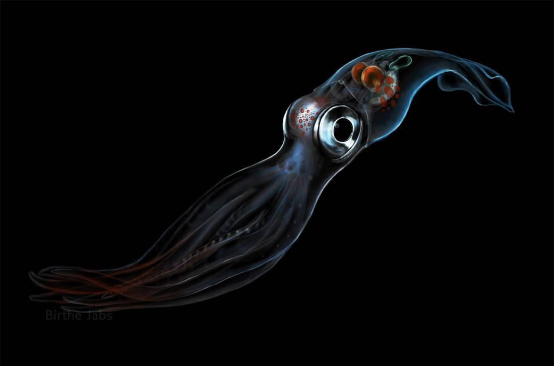 Игра в кальмара squid. Кальмар. Игра в кальмара. Глаз гигантского кальмара.