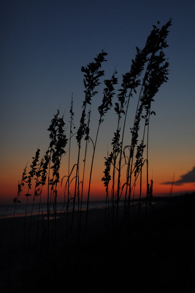 Kiawah Sunset