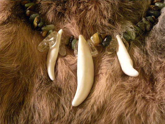 yote teeth necklace