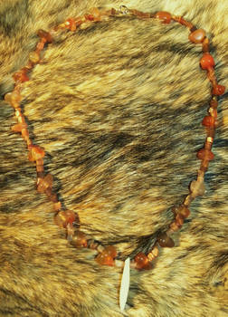 orange coyote tooth necklace