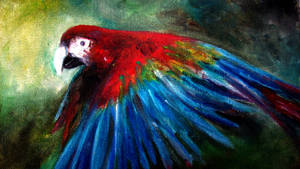 The Macaw