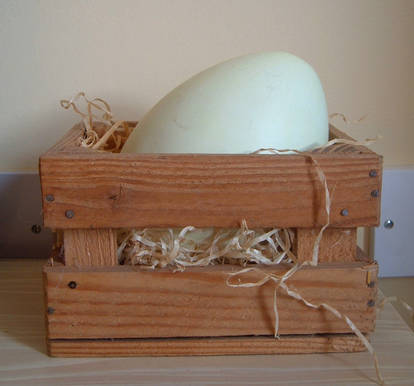 egg crate stock