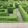 maze stock2