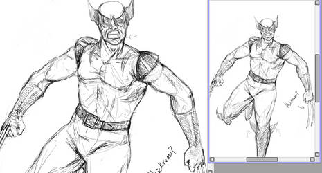 Wolverine (sketch)  request WIP