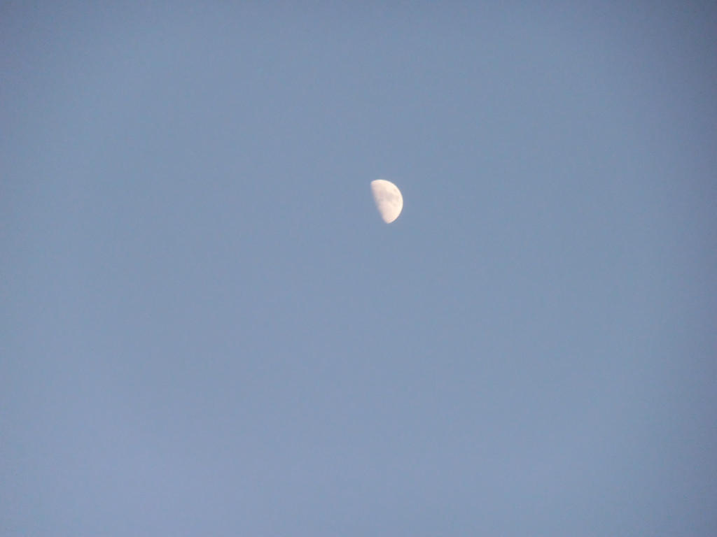 Half Moon In The Daylight