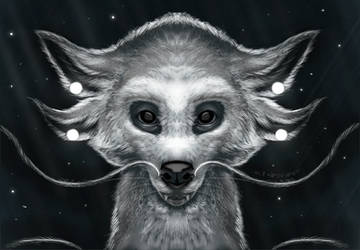 Eastern Dragon Colt Cute