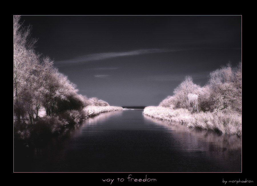 way to freedom