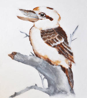 Kookaburra - Acrylic