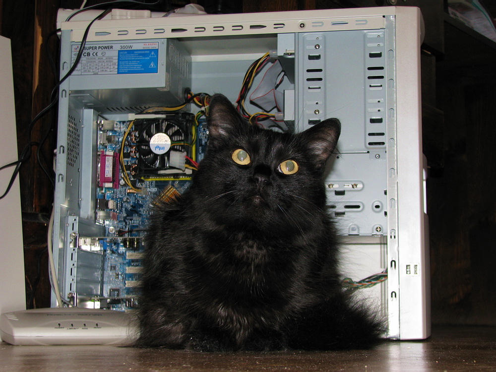 Cat In Computer Case Computer cat by Baka-D-Baka on DeviantArt