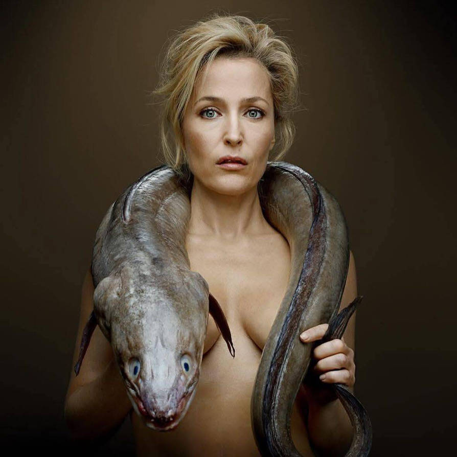 Gillian Anderson PETA By Magnaro42 On DeviantArt gillian-anderson-peta-by-magnaro42-on-deviantart