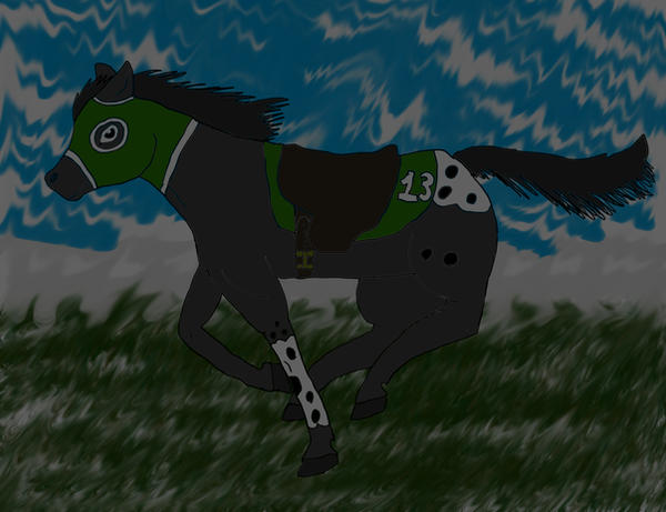 Deviantart Furry Racing Racing by adara1995 on DeviantArt