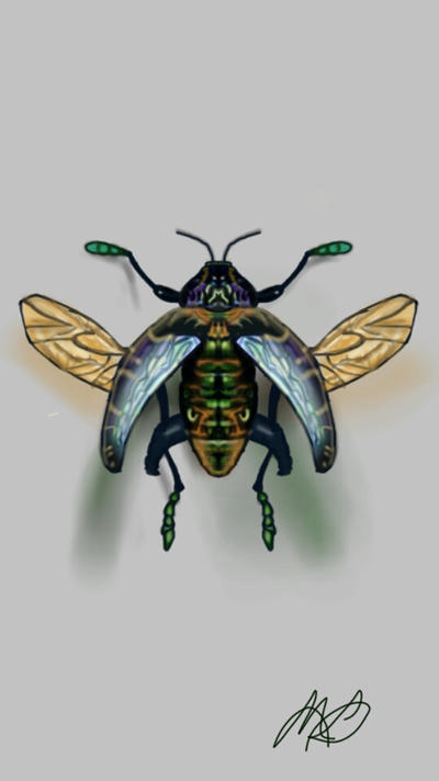 Fly Bug Deviantart FLYING INSECT by Paixen on DeviantArt