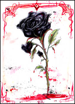 Black Rose