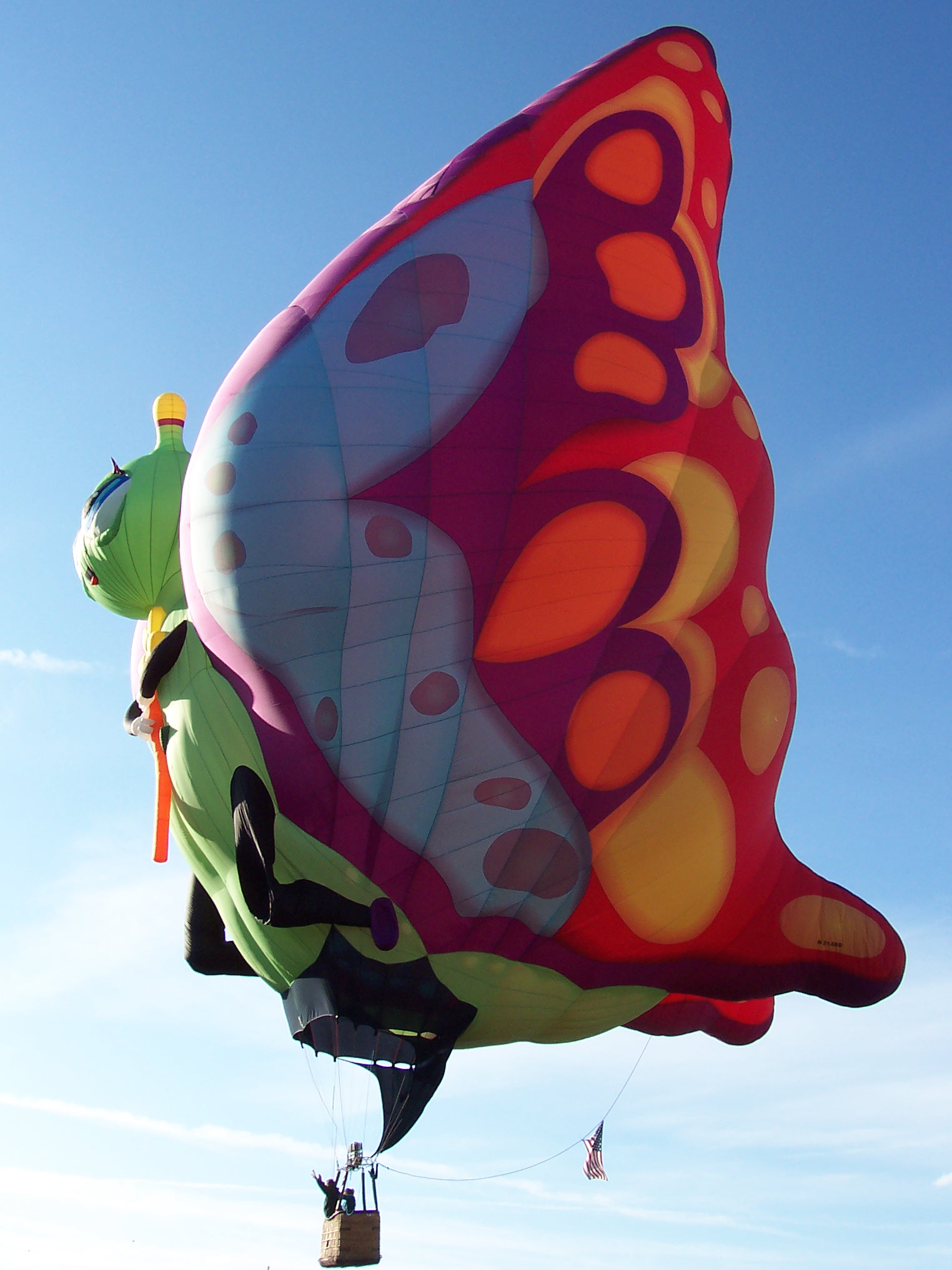 Butterfly in the Sky: Balloon Fiesta 2011