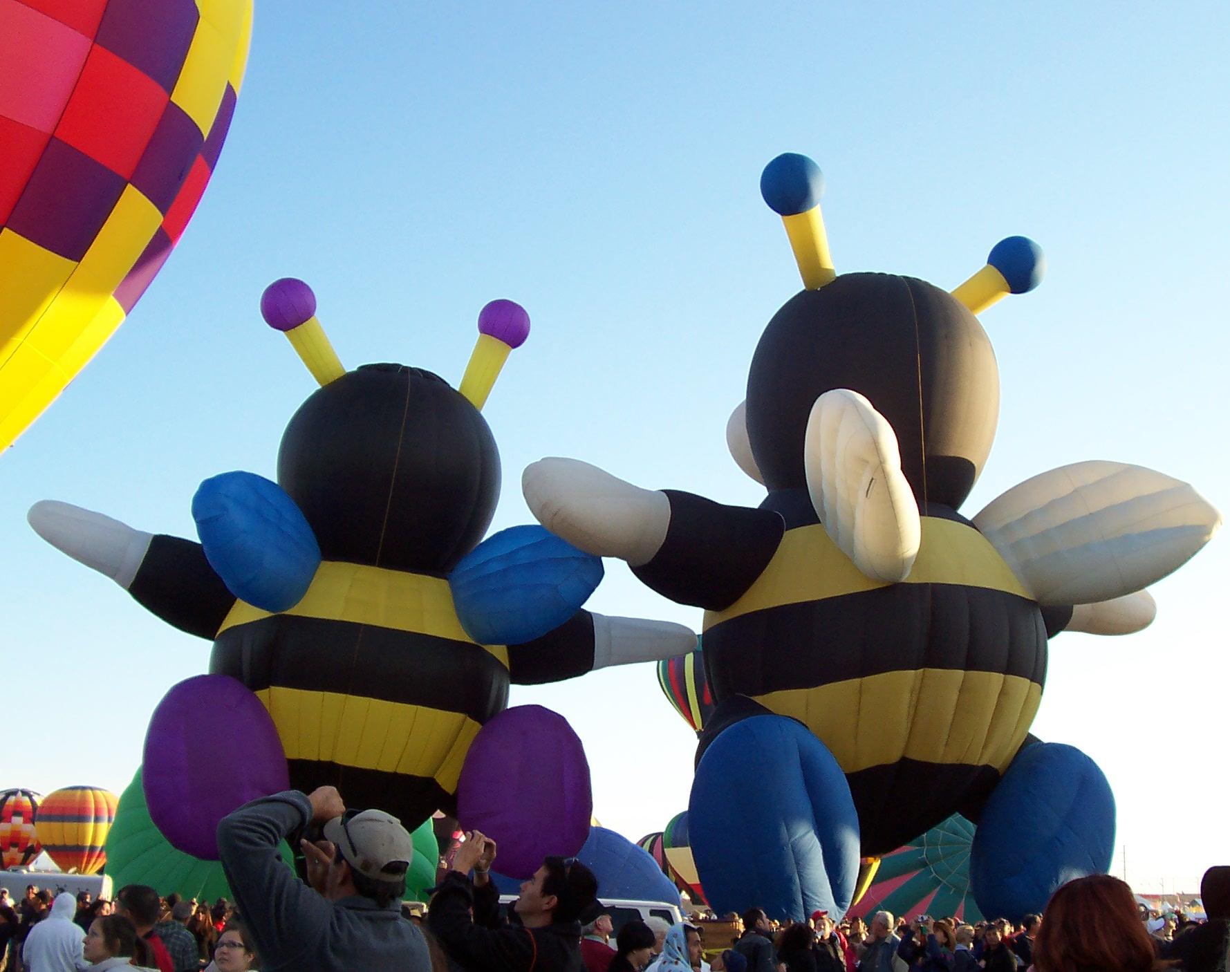 Bumblebee Courtship: Balloon Fiesta 2011