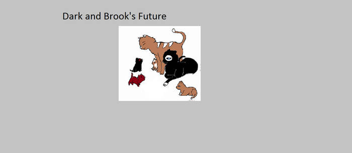 Dark and Brook's Future looks bright