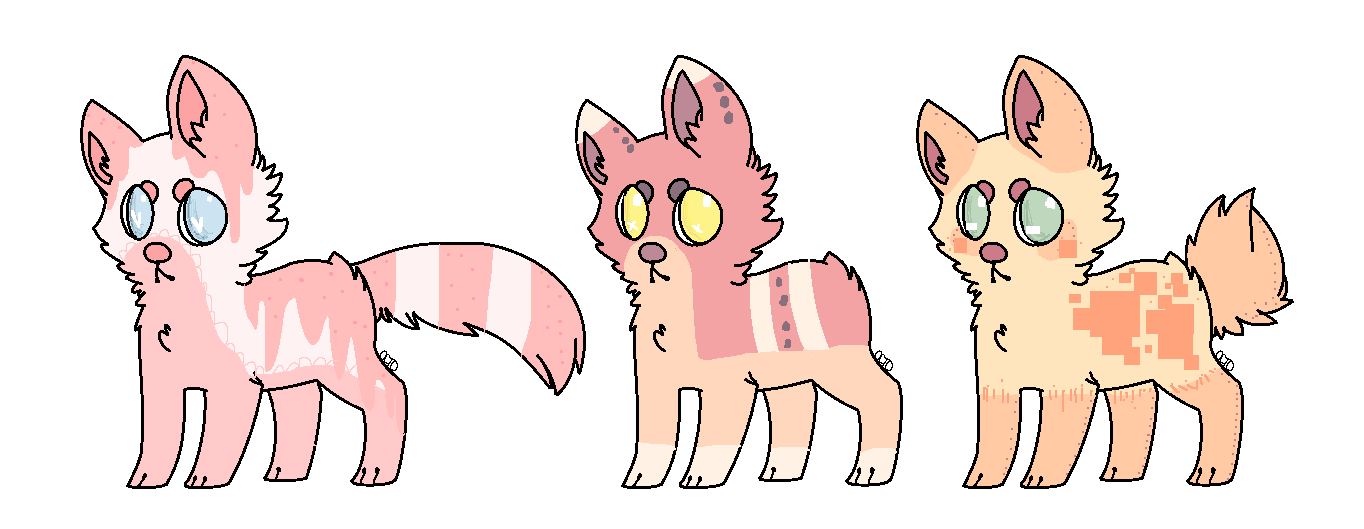 adoptables