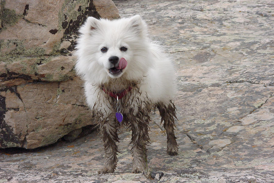 Luna's First Hike