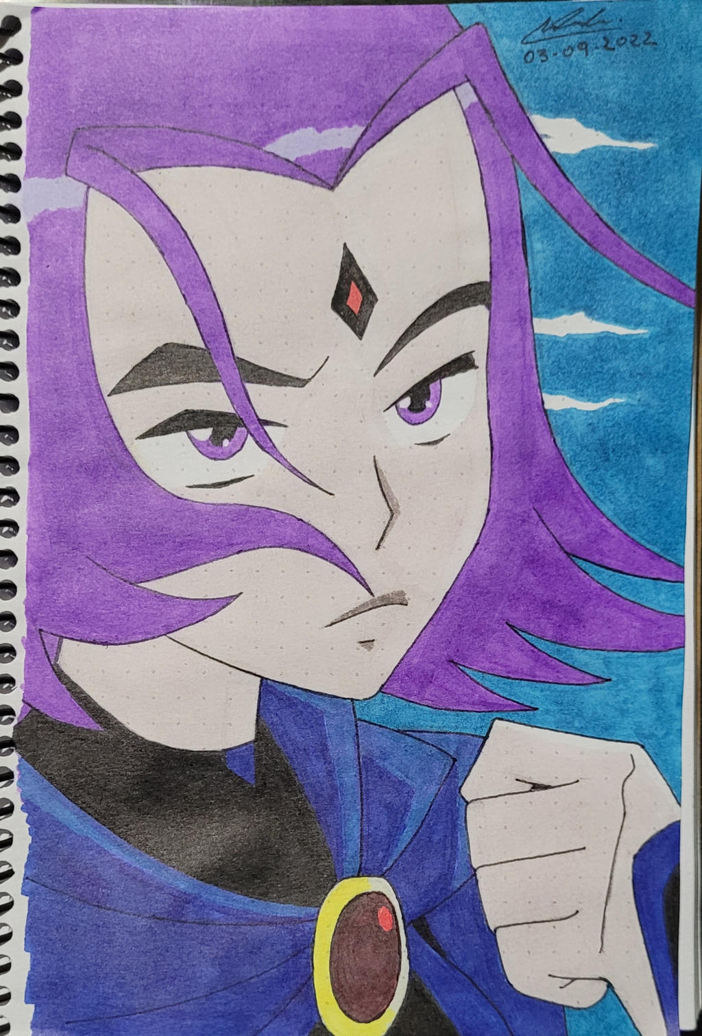 Banded Raven Raven by BandleGunner on DeviantArt