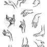 Hand Studies 01