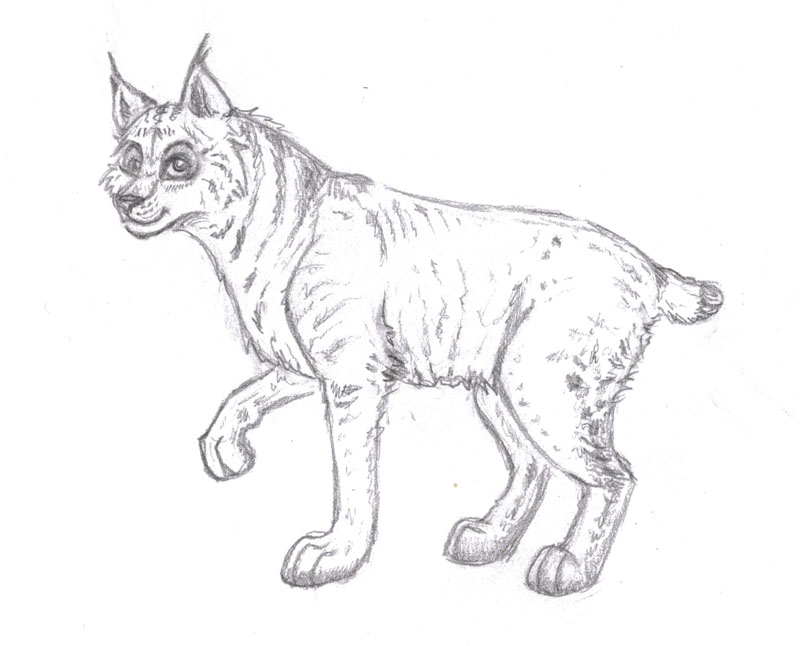 A Lynx